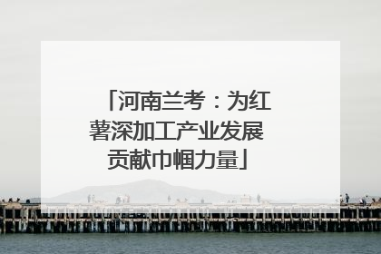 河南兰考：为红薯深加工产业发展贡献巾帼力量