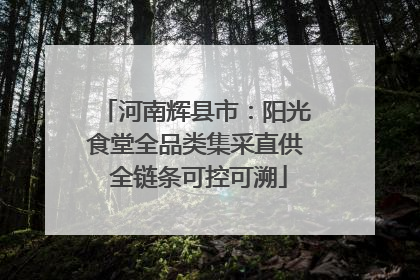 河南辉县市：阳光食堂全品类集采直供 全链条可控可溯