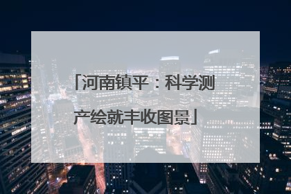 河南镇平：科学测产绘就丰收图景