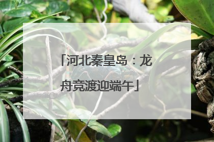 河北秦皇岛：龙舟竞渡迎端午