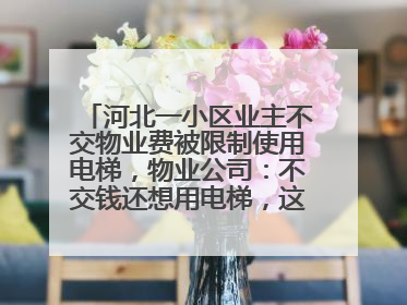 河北一小区业主不交物业费被限制使用电梯，物业公司：不交钱还想用电梯，这钱谁出？
