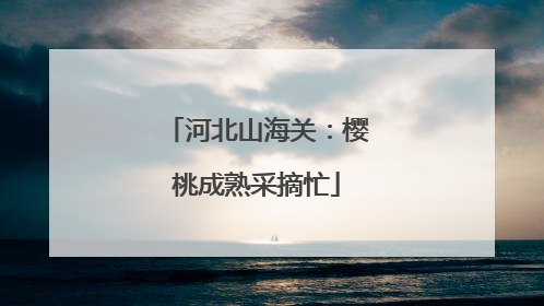 河北山海关：樱桃成熟采摘忙