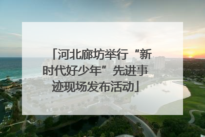 河北廊坊举行“新时代好少年”先进事迹现场发布活动