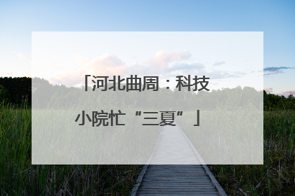河北曲周：科技小院忙“三夏”