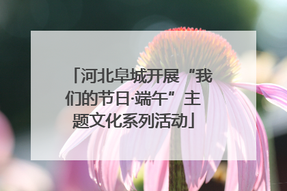 河北阜城开展“我们的节日·端午”主题文化系列活动