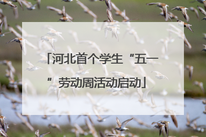 河北首个学生“五一”劳动周活动启动
