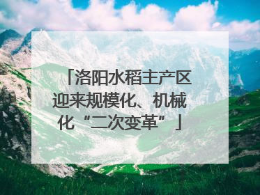 洛阳水稻主产区迎来规模化、机械化“二次变革”