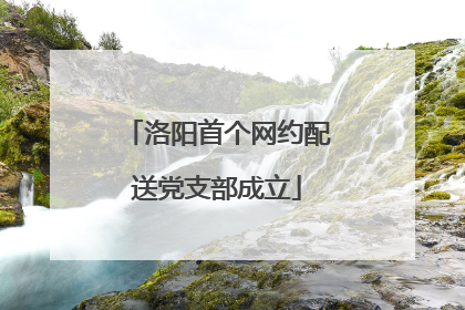 洛阳首个网约配送党支部成立
