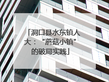 洞口县水东镇人大：“蘑菇小镇”的破局实践
