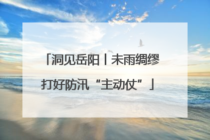 洞见岳阳丨未雨绸缪 打好防汛“主动仗”