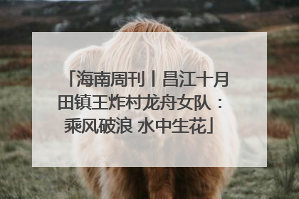 海南周刊丨昌江十月田镇王炸村龙舟女队：乘风破浪 水中生花