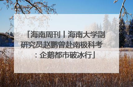 海南周刊丨海南大学副研究员赵鹏曾赴南极科考：企鹅都市破冰行