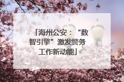 海州公安：“数智引擎”激发警务工作新动能