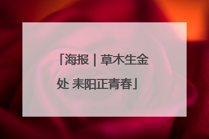 海报｜草木生金处 耒阳正青春
