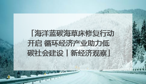 海洋蓝碳海草床修复行动开启 循环经济产业助力低碳社会建设丨新经济观察