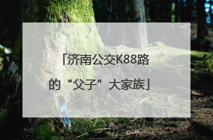 济南公交K88路的“父子”大家族