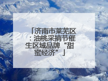 济南市莱芜区：油桃采摘节催生区域品牌“甜蜜经济”