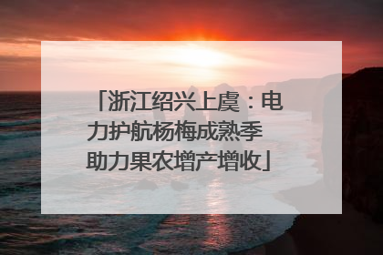 浙江绍兴上虞：电力护航杨梅成熟季 助力果农增产增收
