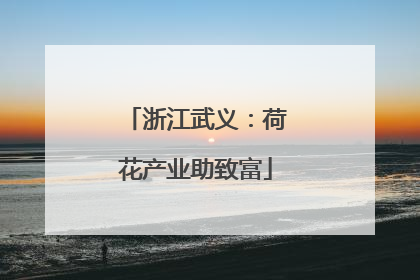 浙江武义：荷花产业助致富