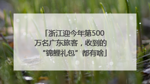 浙江迎今年第500万名广东旅客，收到的“锦鲤礼包”都有啥