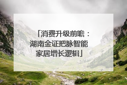 消费升级前瞻：湖南金证把脉智能家居增长逻辑