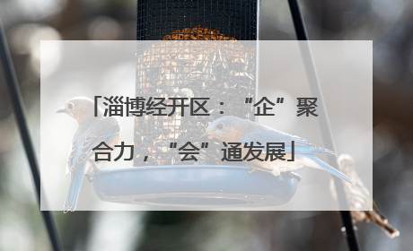 淄博经开区：“企”聚合力，“会”通发展