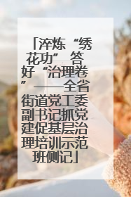 淬炼“绣花功” 答好“治理卷”——全省街道党工委副书记抓党建促基层治理培训示范班侧记
