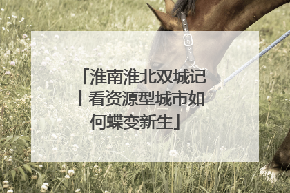 淮南淮北双城记丨看资源型城市如何蝶变新生