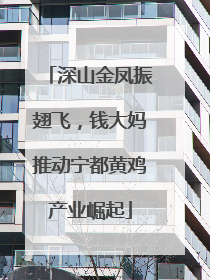 深山金凤振翅飞，钱大妈推动宁都黄鸡产业崛起