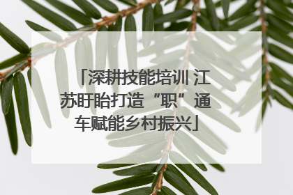 深耕技能培训 江苏盱眙打造“职”通车赋能乡村振兴