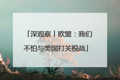深观察丨欧盟：我们不怕与美国打关税战