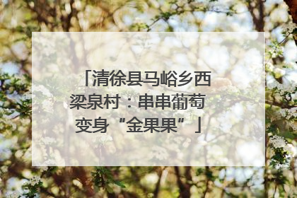 清徐县马峪乡西梁泉村：串串葡萄变身“金果果”