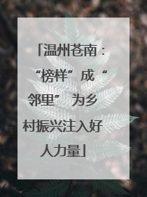 温州苍南：“榜样”成“邻里” 为乡村振兴注入好人力量