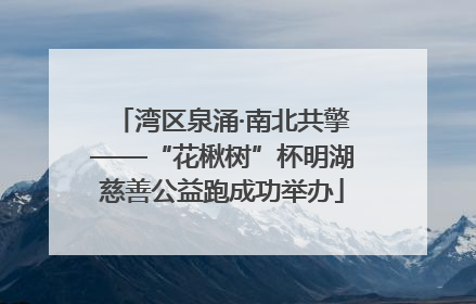 湾区泉涌·南北共擎——“花楸树”杯明湖慈善公益跑成功举办