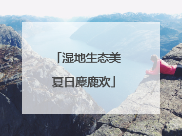 湿地生态美 夏日麋鹿欢