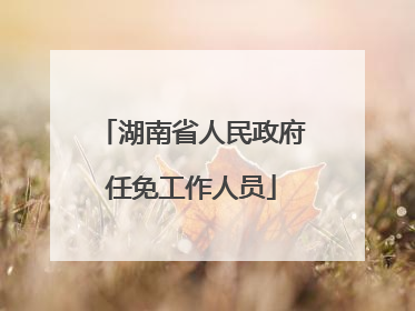 湖南省人民政府任免工作人员