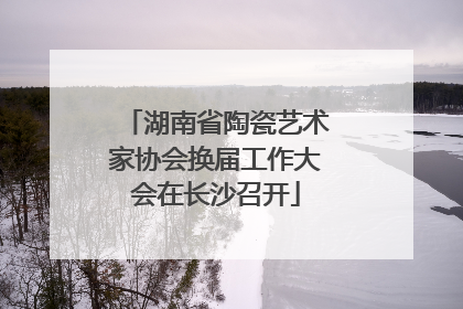 湖南省陶瓷艺术家协会换届工作大会在长沙召开