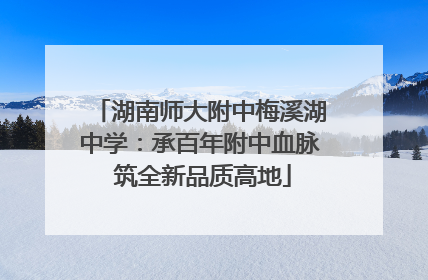湖南师大附中梅溪湖中学：承百年附中血脉 筑全新品质高地