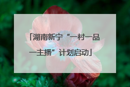 湖南新宁“一村一品一主播”计划启动