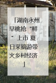 湖南永州早桃抢“鲜”上市 夏日采摘游带火乡村经济