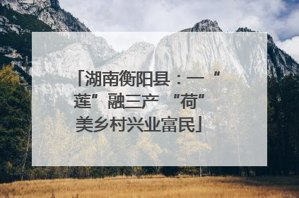 湖南衡阳县：一“莲”融三产 “荷”美乡村兴业富民