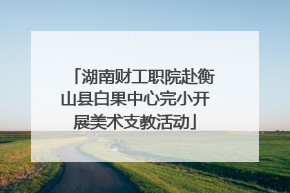 湖南财工职院赴衡山县白果中心完小开展美术支教活动