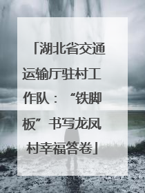 湖北省交通运输厅驻村工作队：“铁脚板”书写龙凤村幸福答卷