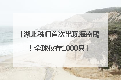 湖北秭归首次出现海南鳽！全球仅存1000只