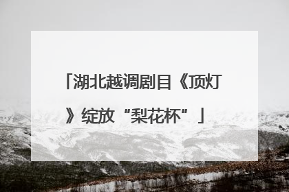 湖北越调剧目《顶灯》绽放“梨花杯”