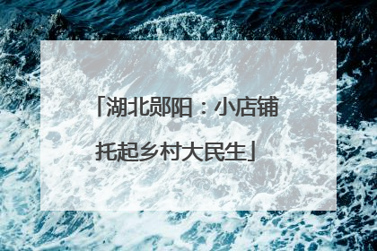 湖北郧阳：小店铺托起乡村大民生