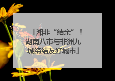 湘非“结亲”！湖南八市与非洲九城缔结友好城市
