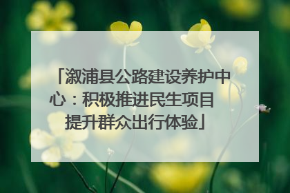 溆浦县公路建设养护中心：积极推进民生项目 提升群众出行体验