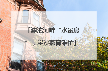 滹沱河畔“水景房”，崖沙燕育雏忙