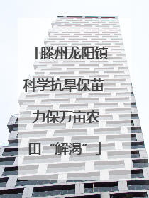 滕州龙阳镇科学抗旱保苗 力保万亩农田“解渴”